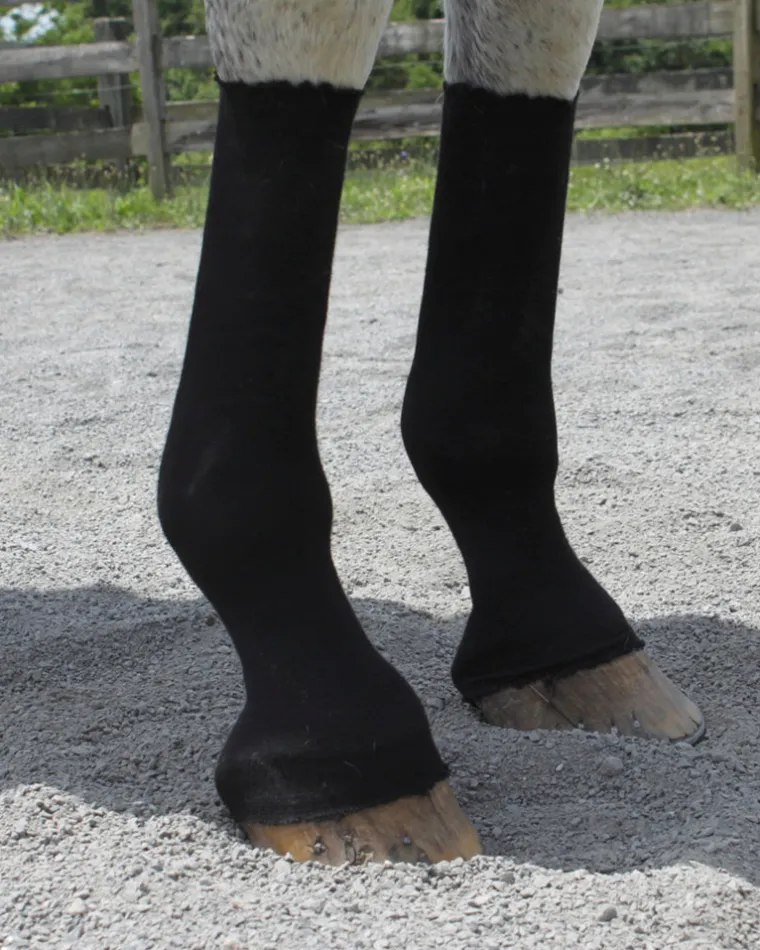 brwmEVwA_1.webp Sale EQUIFIT ® HorseSox Barn Roll