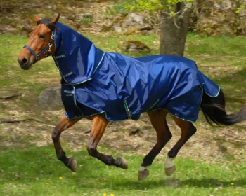 Hot TOKLAT ORIGINALS Bucas Smartex Combi Neck Cover Navy