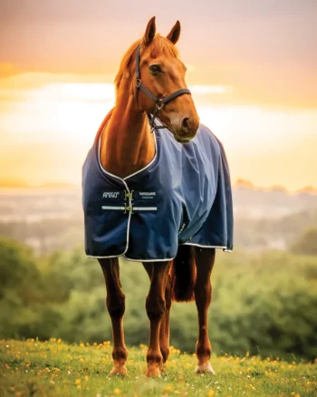 Clearance HORSEWARE ® Ireland Amigo® Ripstop 900D 50 Gram Fleece Lined Standard Neck Turnout