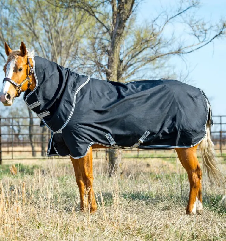 cIlDcMsN_0.webp Hot HORSEWARE ® Ireland Amigo® Stock Horse Plus 200g Black/Silver/Black
