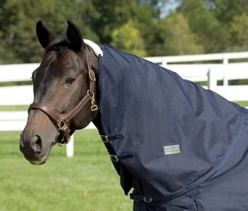 Clearance CWEAR BRANCH Rider’s International™ Supreme Neck Cover