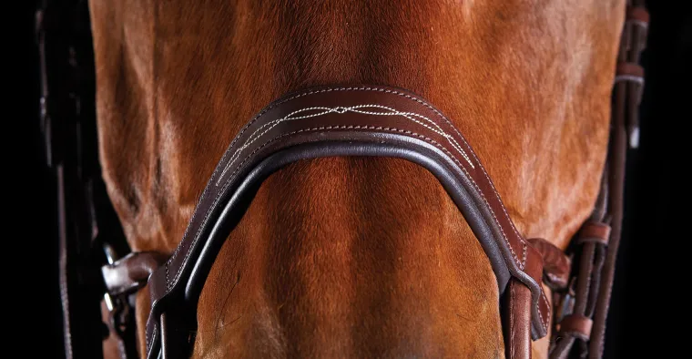 collegiate-comfitec-fancy-stit-trdDMvLh-2.webp Best WEATHERBEETA Collegiate® ComFiTec™ Fancy-Stitched Bridle
