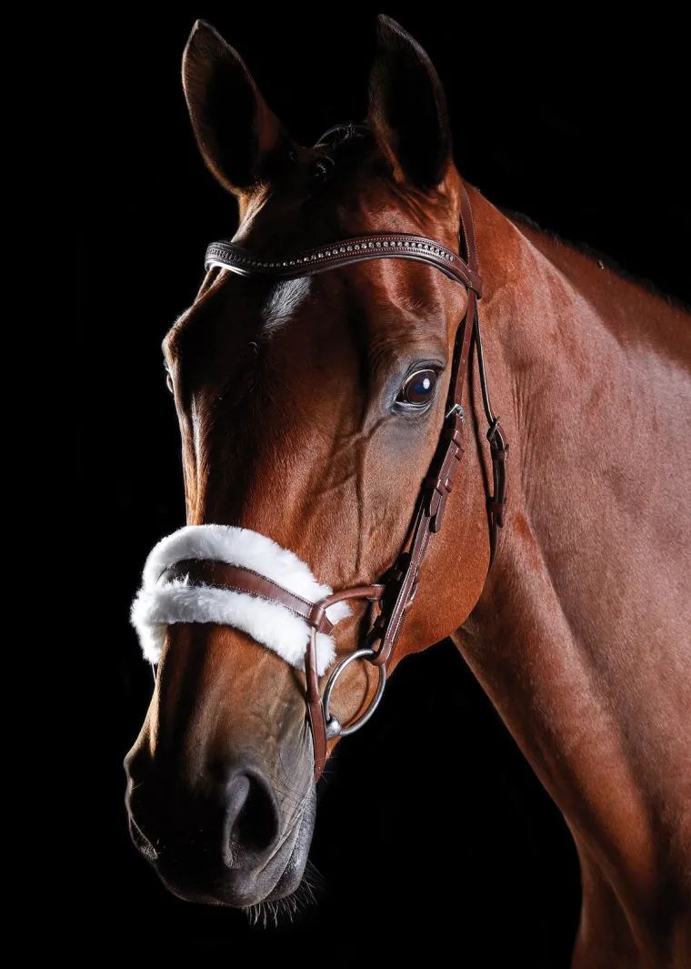 collegiate-comfitec-sheepskin-aMsuiMhw-0.webp Discount WEATHERBEETA Collegiate® ComFiTec™ Sheepskin Bridle