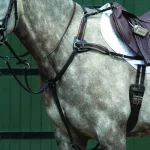 Sale WEATHERBEETA Collegiate® Essential 5-Point Breastplate