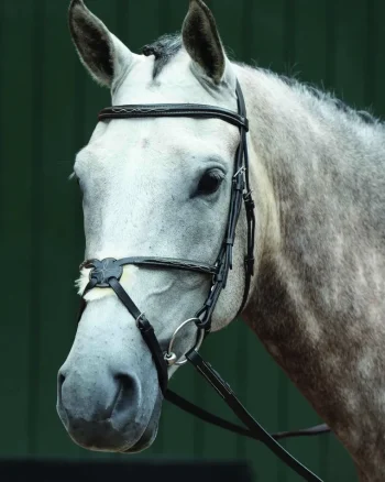 Fashion WEATHERBEETA Collegiate® Essential Padded Raised Fancy-Stitched Figure-8 Bridle Brown