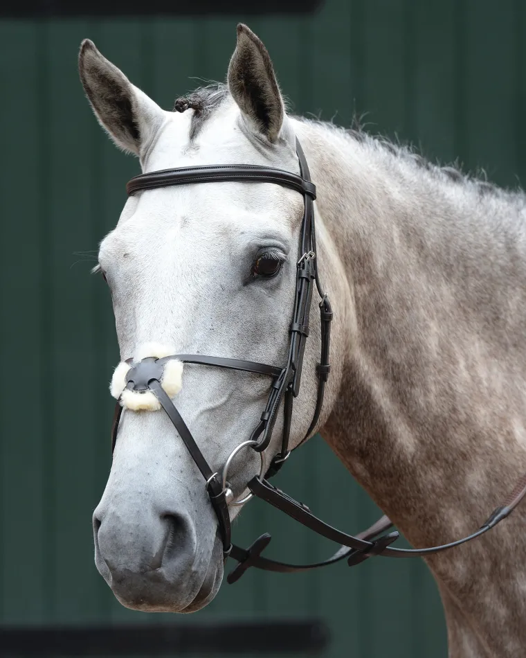 collegiate-essential-padded-ra-WySPqFDy-0.webp Fashion WEATHERBEETA Collegiate® Essential Padded Raised Figure-8 Bridle