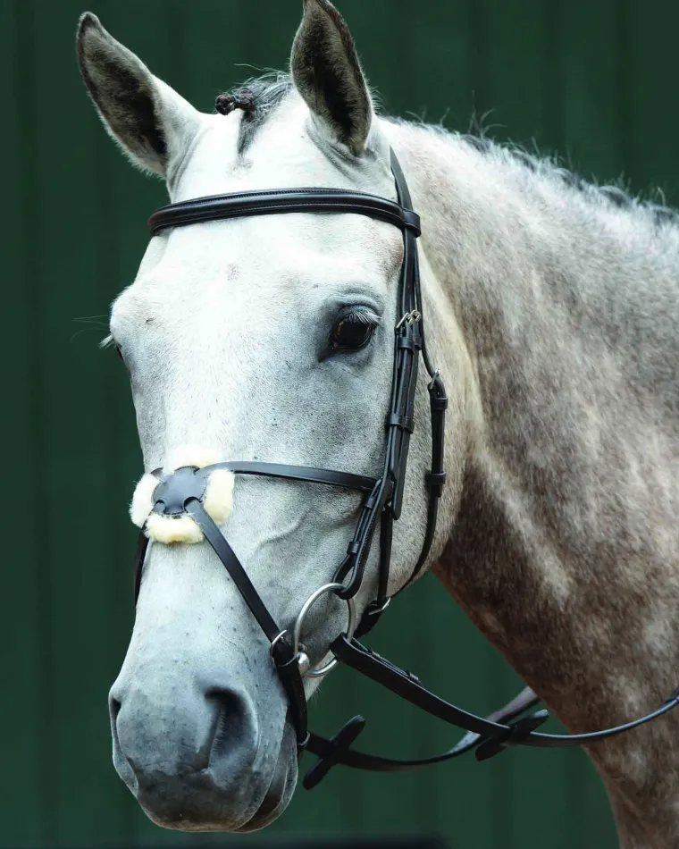 collegiate-essential-padded-ra-WySPqFDy-1.webp Fashion WEATHERBEETA Collegiate® Essential Padded Raised Figure-8 Bridle