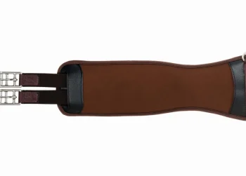 Clearance WEATHERBEETA Collegiate® Memory Foam Girth Brown