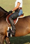 crown-custom-saddlery-chaps-VRkJaBVQ-0.webp