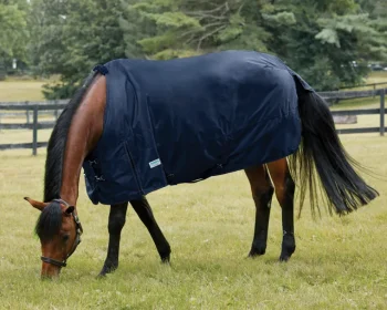 Best S.K. EXPORTS Rider’s International™ Heavyweight Turnout Blanket