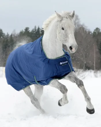 Best TOKLAT ORIGINALS Bucas Smartex Extra Turnout Blanket Navy