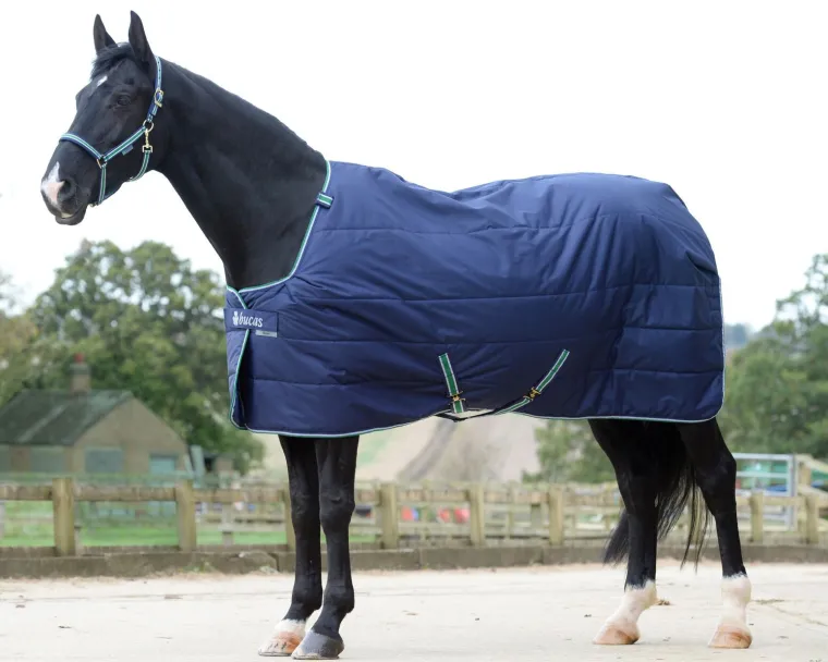 dmDtqhcb_0.webp Clearance TOKLAT ORIGINALS Bucas Quilt Heavyweight Stable Blanket with Stay-Dry Lining - 300 grams Navy
