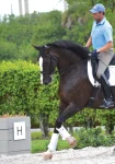 dressage-sport-boots-rCJURtzs-0.webp