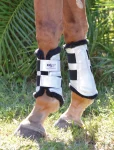 dressage-sport-boots-rCJURtzs-0.webp