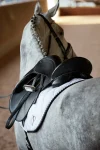 ds-classic-dressage-saddle-lDnuELLm-0.webp