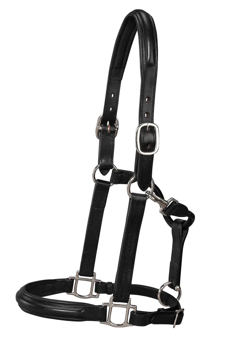 ds-classic-plain-raised-padded-nlljAoyG-0.webp Sale HARMOHN KRAFT DS Classic Plain Raised Padded Halter