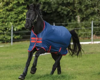 Hot HORSEWARE ® Ireland Mio® Lite Turnout Sheet