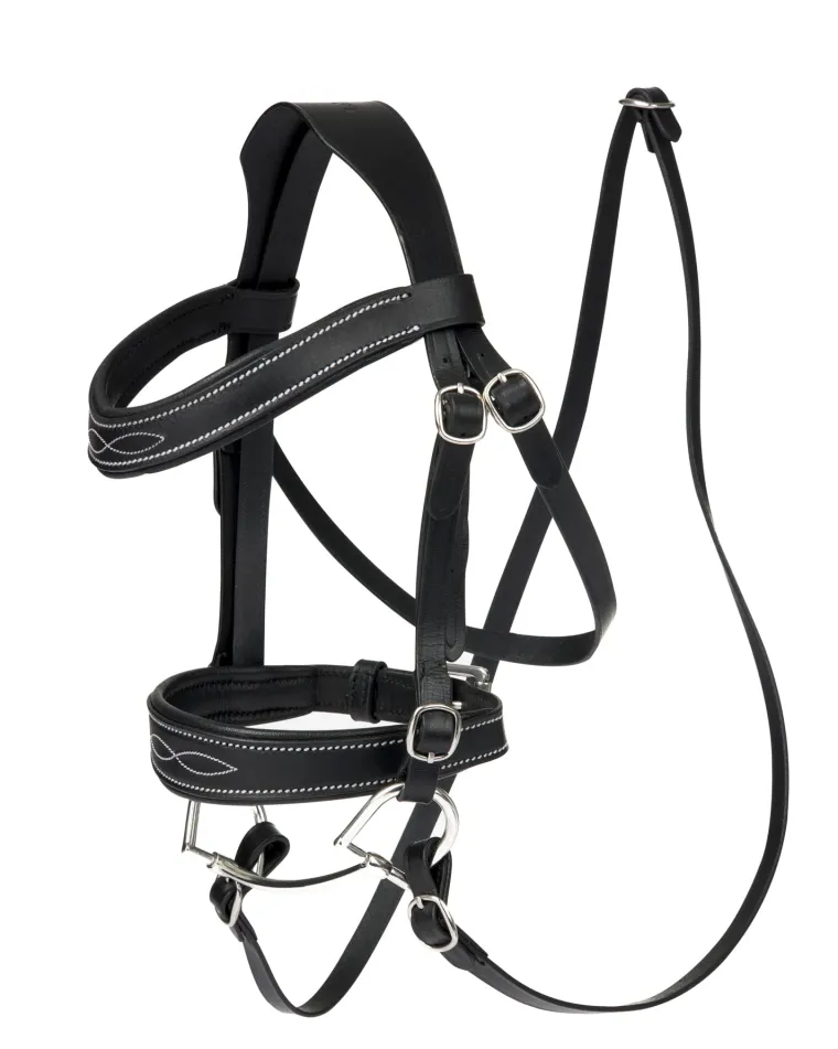 dyaJfdEh_0.webp Best HORSE HEALTH TRADE LeMieux® Hobby Horse Competition Bridle Black