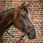 dyon-anatomic-bridle-HLgTlEaL-0.webp