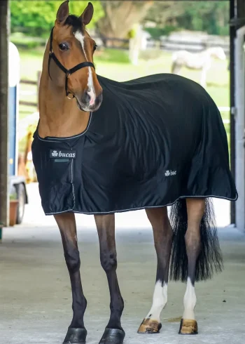 Hot TOKLAT ORIGINALS Bucas Shamrock Power Cooler