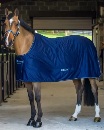 Hot TOKLAT ORIGINALS Bucas Shamrock Power Cooler