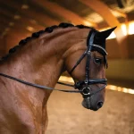 equestrian-stockholm-glimmer-e-CIlWKuIE-0.webp