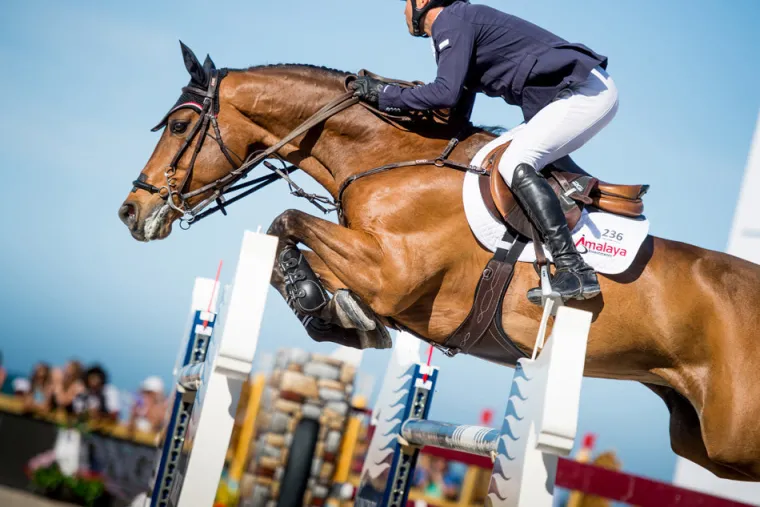 equifit-anatomical-bellyguard-LQmqpMXH-1.webp Hot EQUIFIT ® Anatomical BellyGuard Girth With T-Foam™ Liner Brown