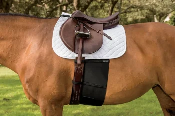Best EQUIFIT ® BellyBand™ Black