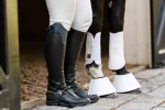 equifit-essential-everyday-fro-aTtQErsO-0.webp