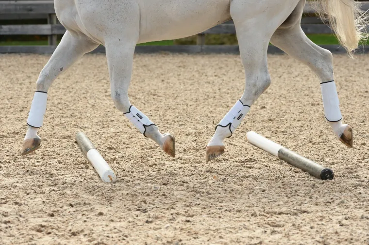 equifit-multiteq-sheepswool-ta-TpeYBabR-2.webp Outlet EQUIFIT ® MultiTeq SheepsWool Tall Hind Boots