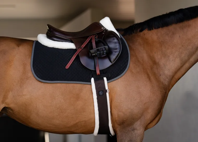 equifit-ultrawool-essential-sc-OTltBQTT-2.webp Online EQUIFIT ® UltraWool™ Essential Schooling Girth