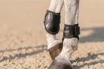 equifit-young-horse-boots-with-WLYtkVdd-0.webp