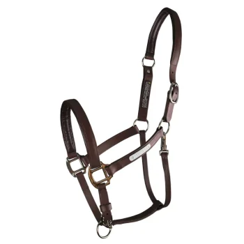 Best WORLD EQUSTRN BRNDS Equilibrium Stellar All-Weather Breakaway Halter