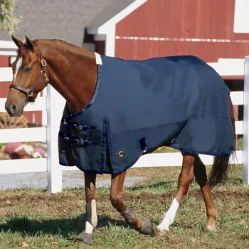 New CWEAR BRANCH Rider’s International™ Supreme Heavyweight Turnout Blanket
