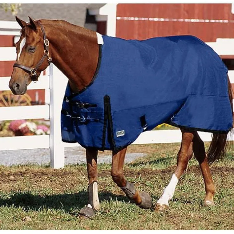ewDHspZl_6.webp New CWEAR BRANCH Rider’s International™ Supreme Heavyweight Turnout Blanket