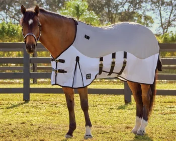 Best KARTIKEYA INTL DS Fly Combo Sheet Silver/White