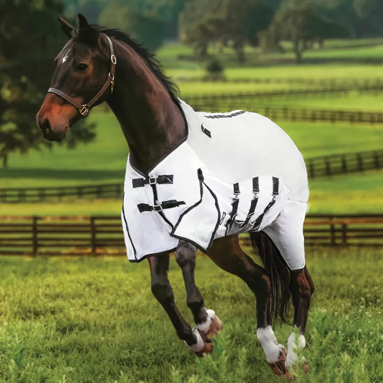 faMMQoYo_5.webp Best KARTIKEYA INTL DS Fly Combo Sheet Silver/White