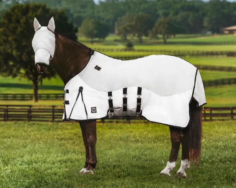 faMMQoYo_6.webp Best KARTIKEYA INTL DS Fly Combo Sheet Silver/White