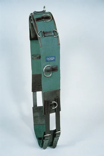 Sale KINGS INTERNATIONAL Suffolk™ Classic Web Training Surcingle