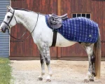 Outlet INTEX EQUESTRIAN Rider’s International™ Classic Plaid Fleece Quarter Sheet Navy Plaid