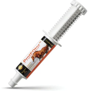 Outlet PERFECT PRODUCTS ProtEQtor™ Immune & Allergy Paste