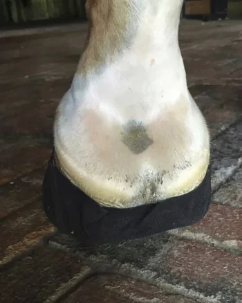 Fashion EQUIFIT ® Pack-N-Stick HoofTape Black