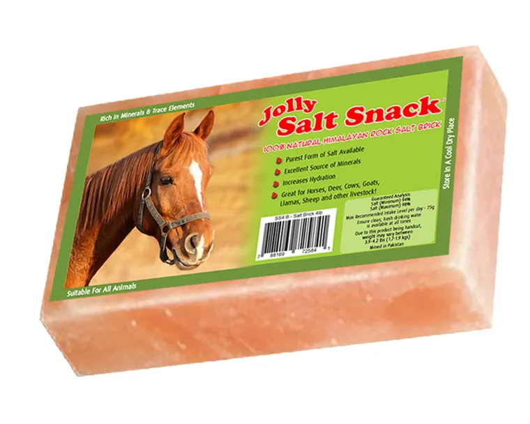 gYcXsxhg_0.webp Outlet ANIMAL HEALTH INT Horsemen’s Pride™ Jolly Salt Snack Brick