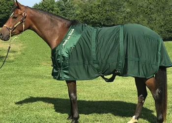 Discount BACK ON TRACK BOT LL Back on Track® Therapeutic Mesh Horse Sheet