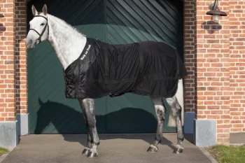 Discount BACK ON TRACK BOT LL Back on Track® Therapeutic Mesh Horse Sheet