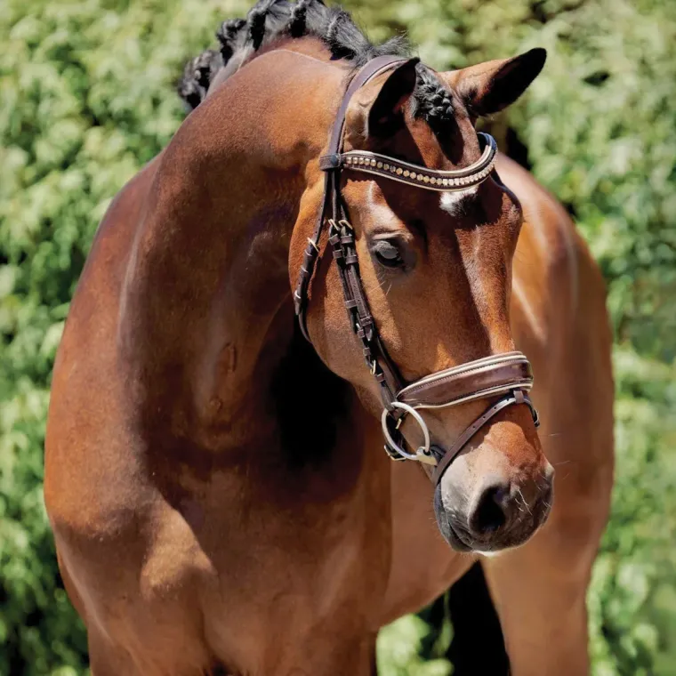 halter-ego-catalonia-snaffle-b-lYKORBFn-0.webp Fashion HALTER EGO ® Catalonia Snaffle Bridle Metallic Bronze Patent
