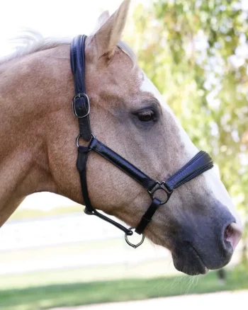 Discount HALTER EGO ® Doc Marten Padded Halter Black