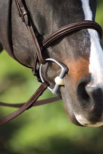 Online ERS Happy Mouth Bits® Jointed King Hunter D-Ring Pro Bit