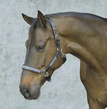 Hot JPC EQUESTRIAN HDR Padded Jewel Halter