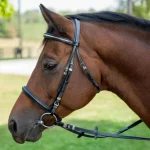 Clearance JPC EQUESTRIAN Henri De Rivel Clincher Bridle Black